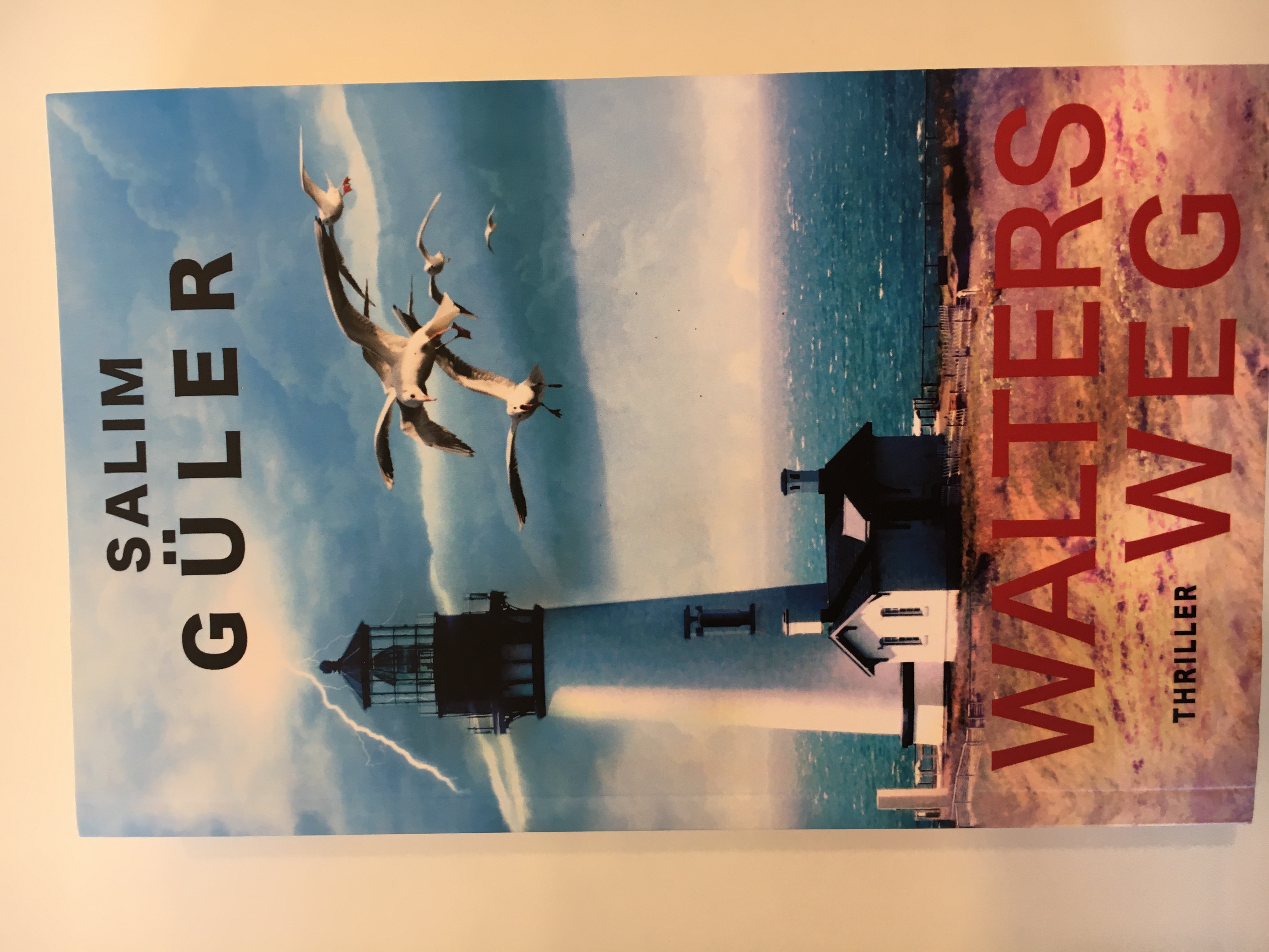 Salim Güler - Walters Weg