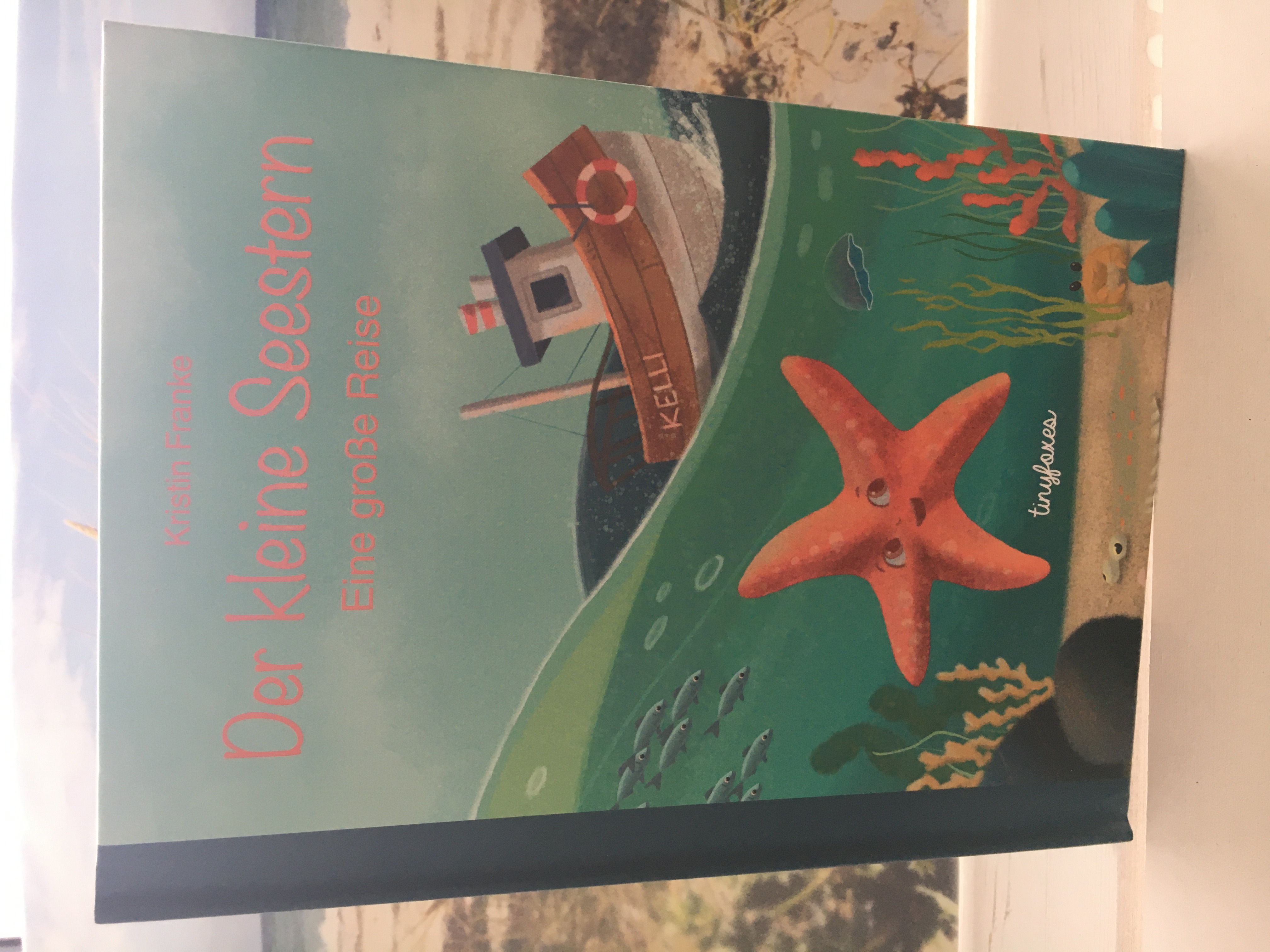 Kinderbuch "Der kleine Seestern: Eine große Reise"