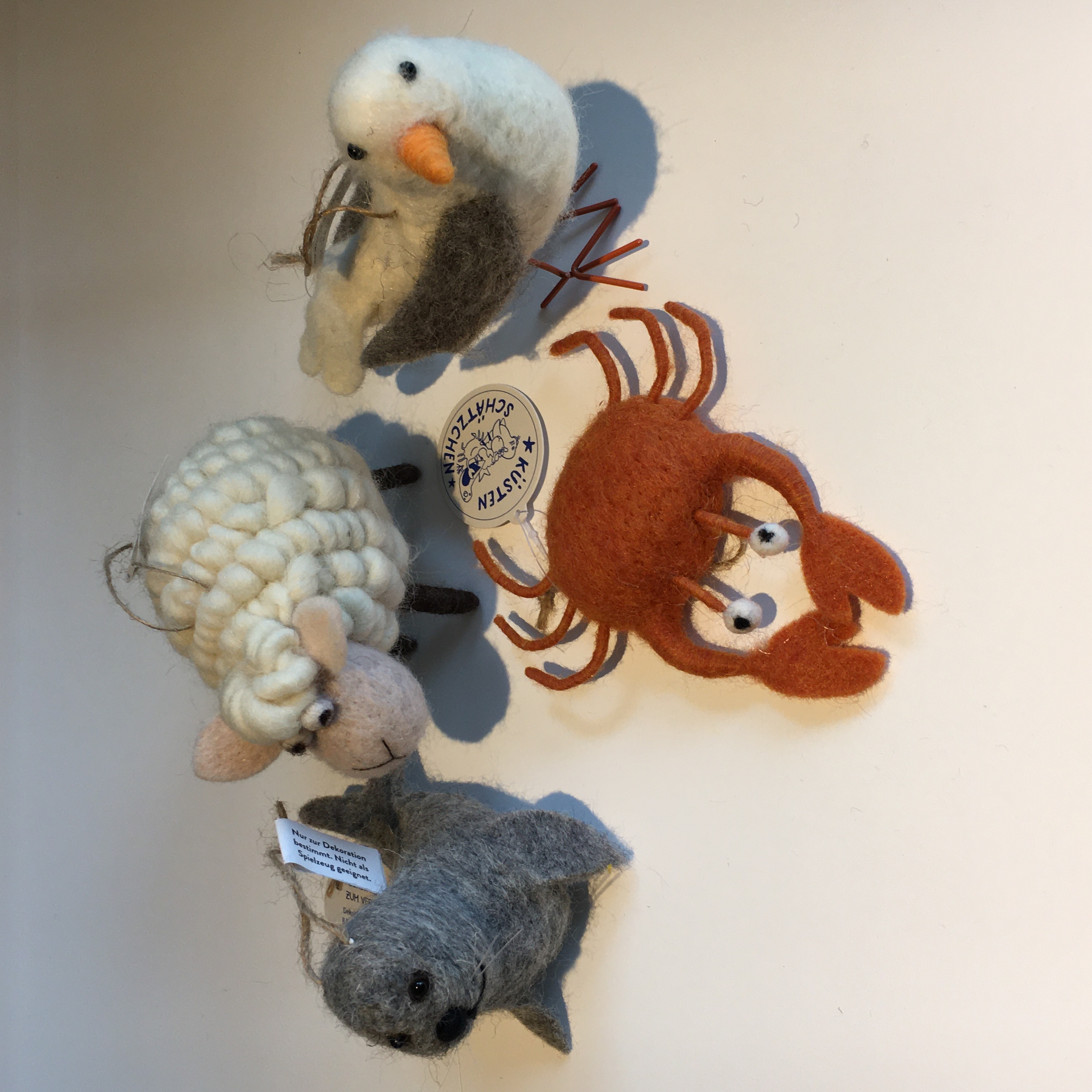 Filztiere Meer, verschiedene Arten